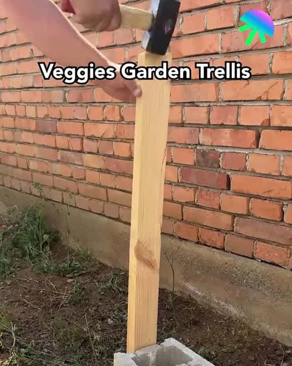 Cover for Veggies Garden Trellis LifeHack hacks 87502 #nicevideo