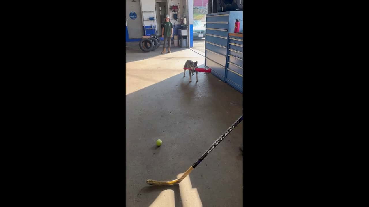 Cover for Pepper Hits a Home Run