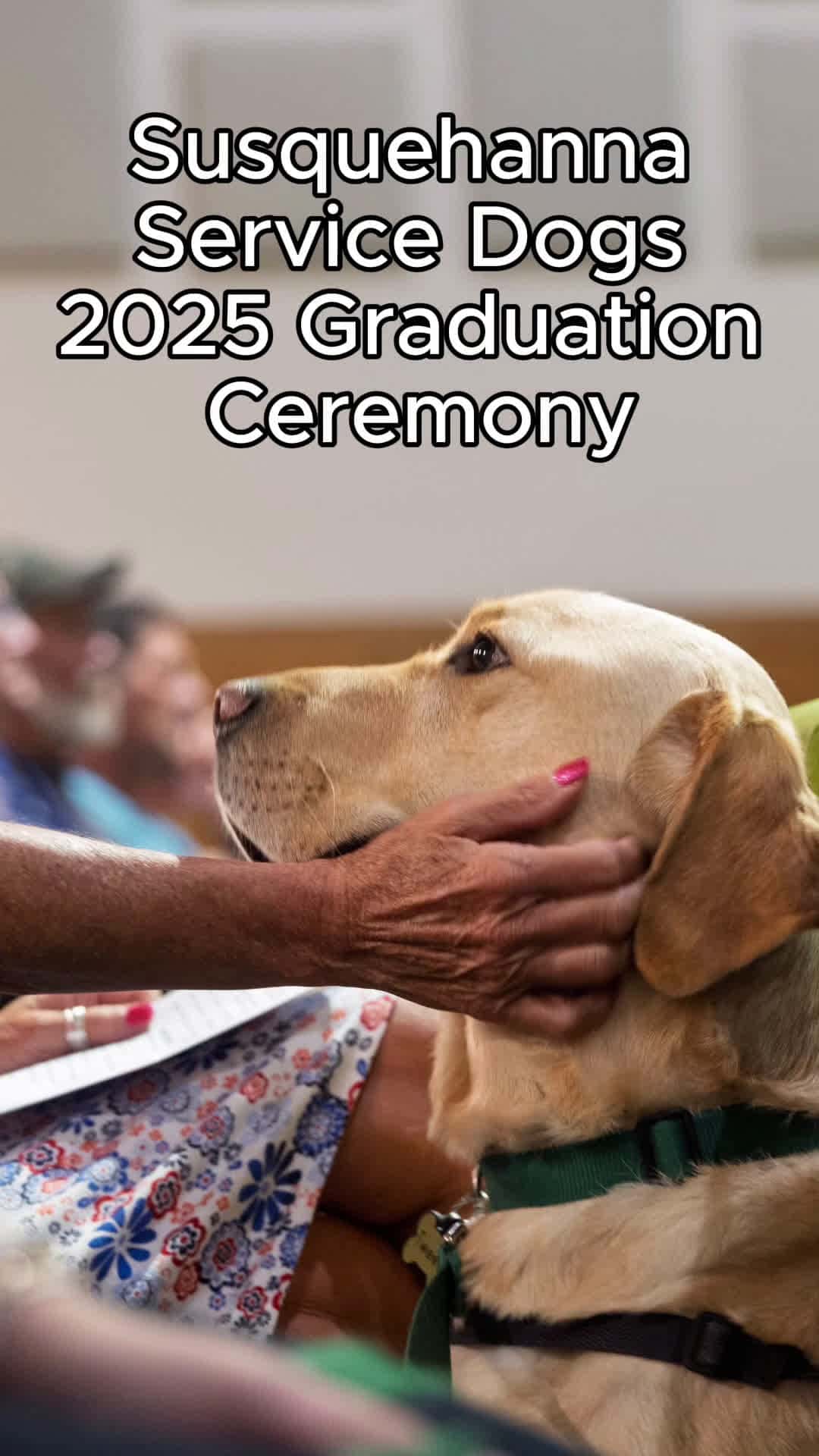 Cover for Susquehanna Service Dogs Celebrate 48 Graduating Teams