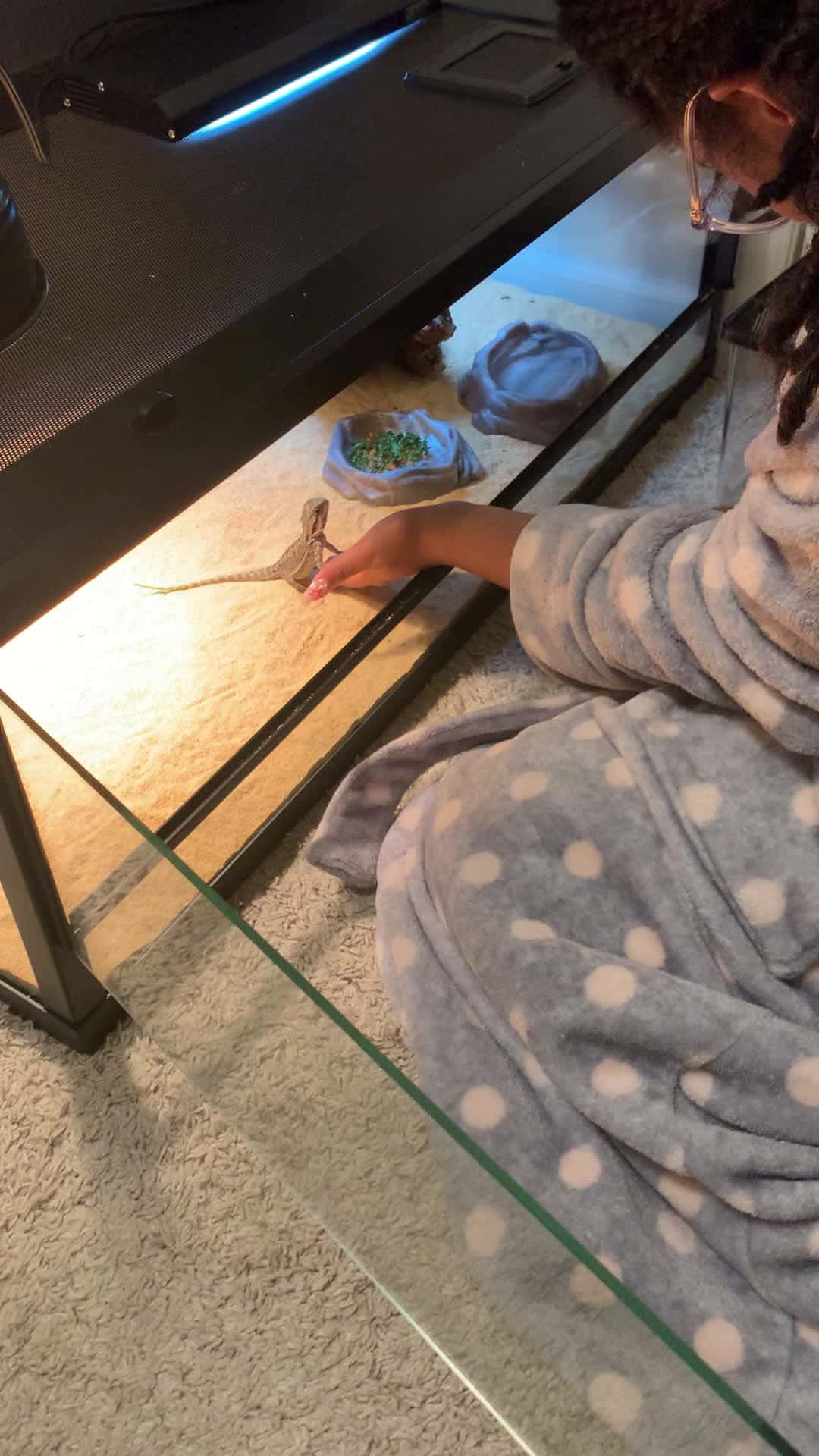 Cover for Watching RANGO Feeding and laying one ☝️ Down 🌺🖤🌺🥹Sooo cute 🥰 personality 🐲🐉