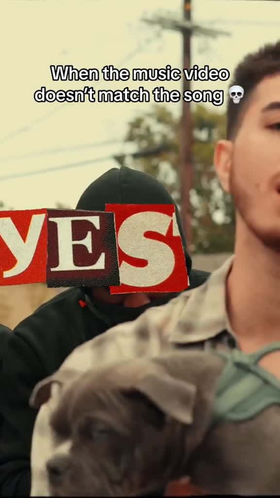 Cover for Who directed this video 54366 #followMe