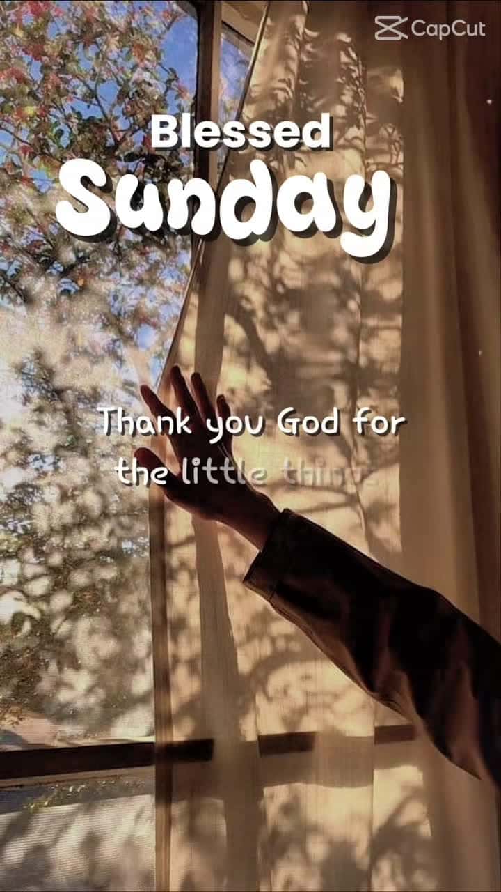 Cover for Happy Sunday everyone 