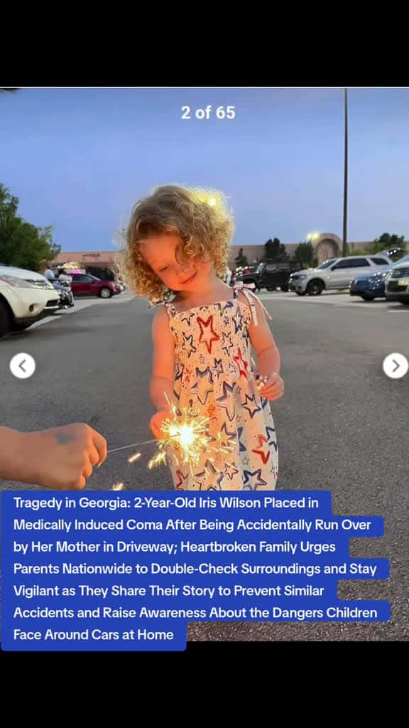 Cover for Toddler's Tragic Driveway Accident: Family's Heartbreak
