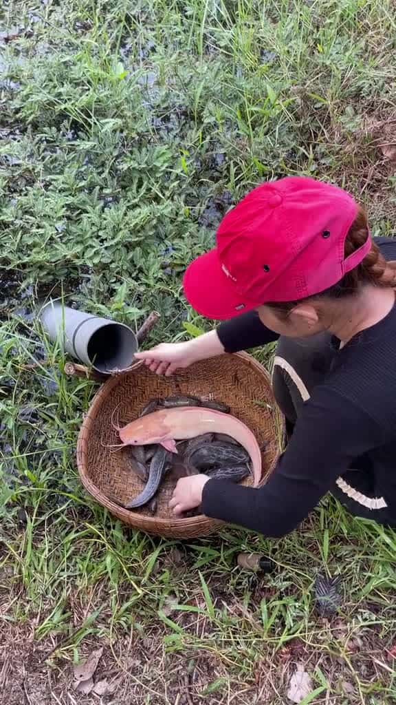 Cover for Unbelievable oil fishing technique with an unique survival skills fishing 94302 #shortvideosscoopz