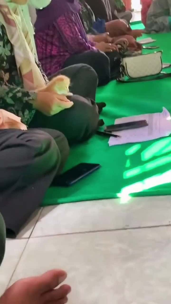 Cover for Diajak emak pengajian biar dapet nasi berkat dobel Cr TT hilalsing @hilal singto