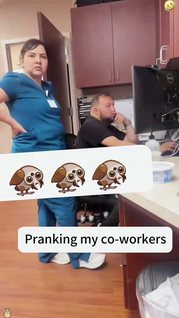 Cover for They said you sound like an owl prank funny funnyvideos funnyvideo funnymoments funnytikto 72607 #trending