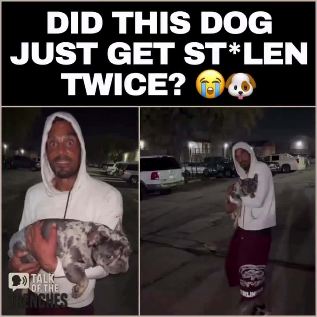 Cover for dey bucked his dog😂#fyp #truecrimestories #funny 