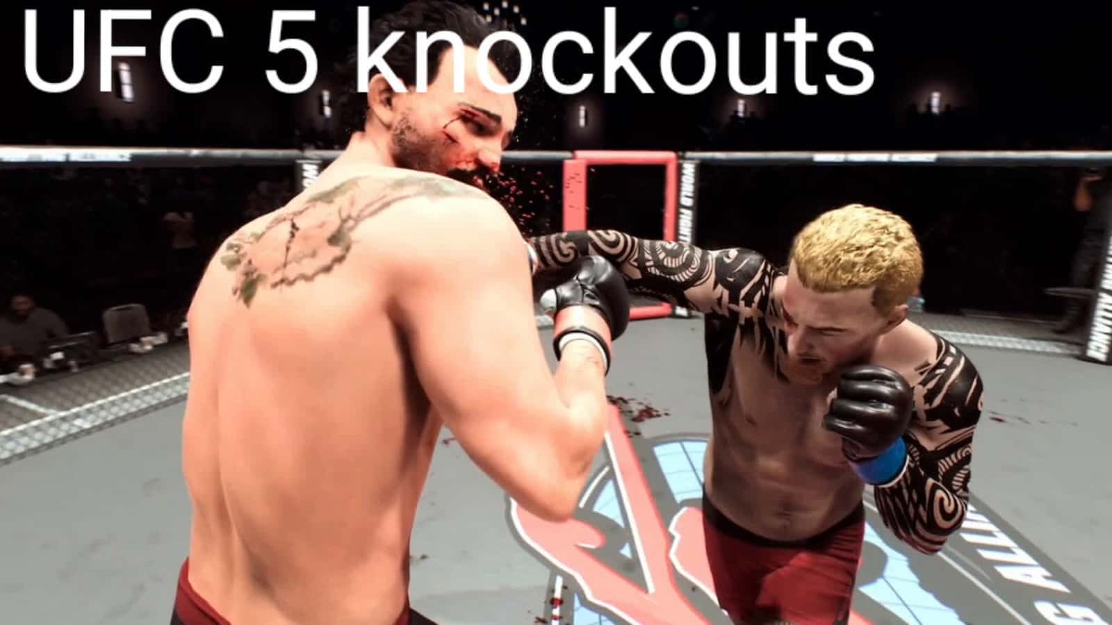 Cover for Just a couple lil knockouts  #knockout  #fight  #ufc  #fightcam 