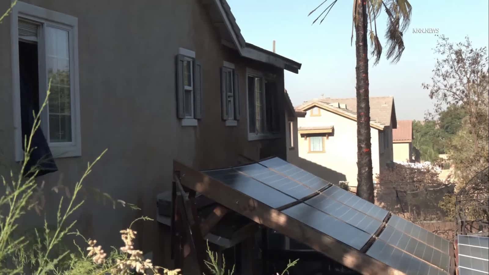 Cover for Numerous Dogs Injured in Palmdale House Fire