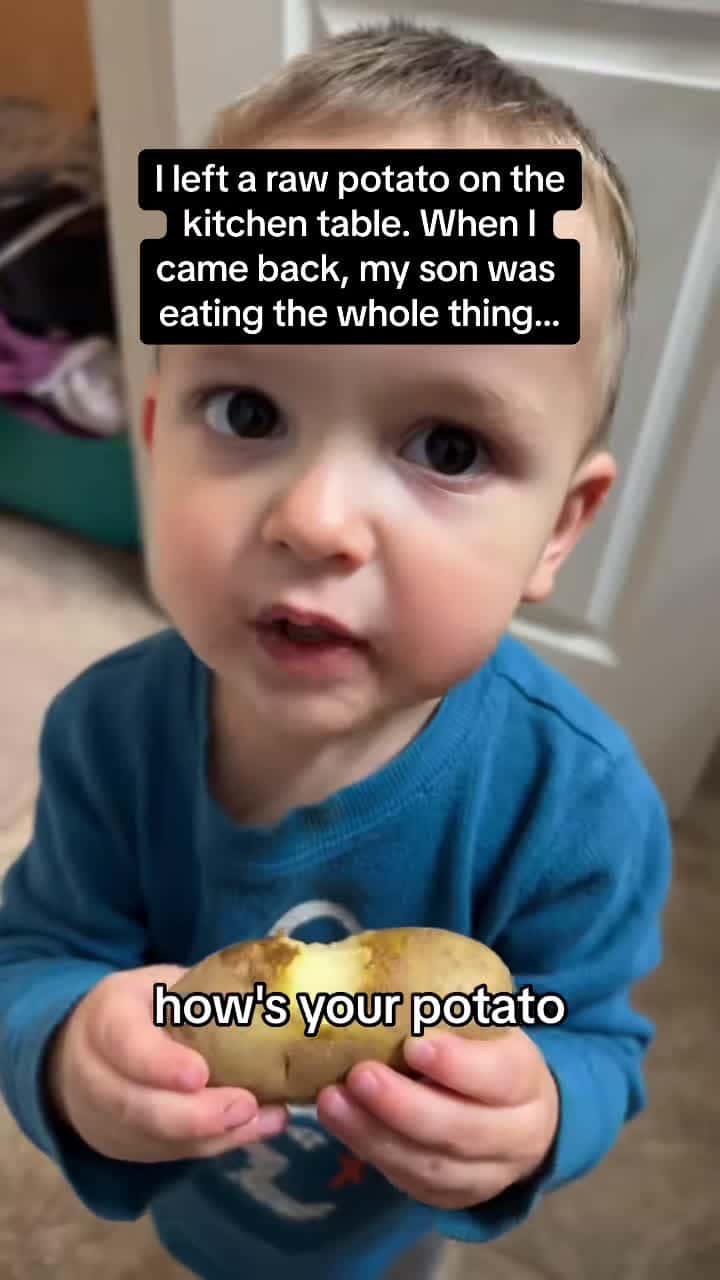 Cover for The CRONCH sounds 🥔🤣🤣 #RoadTo15M #Pubity  (Jacob Jazwinski via ViralHog)