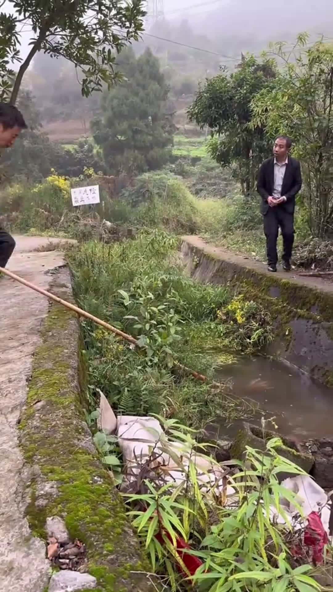Cover for 🤣, 🤣🤣