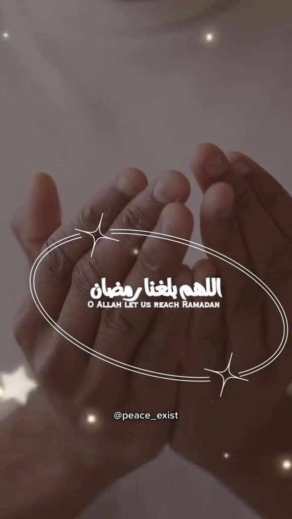 Cover for Follow for more Islamic videos. . . . peace exist peace exist peace exist . . . islam musl 96526 #shortvideos