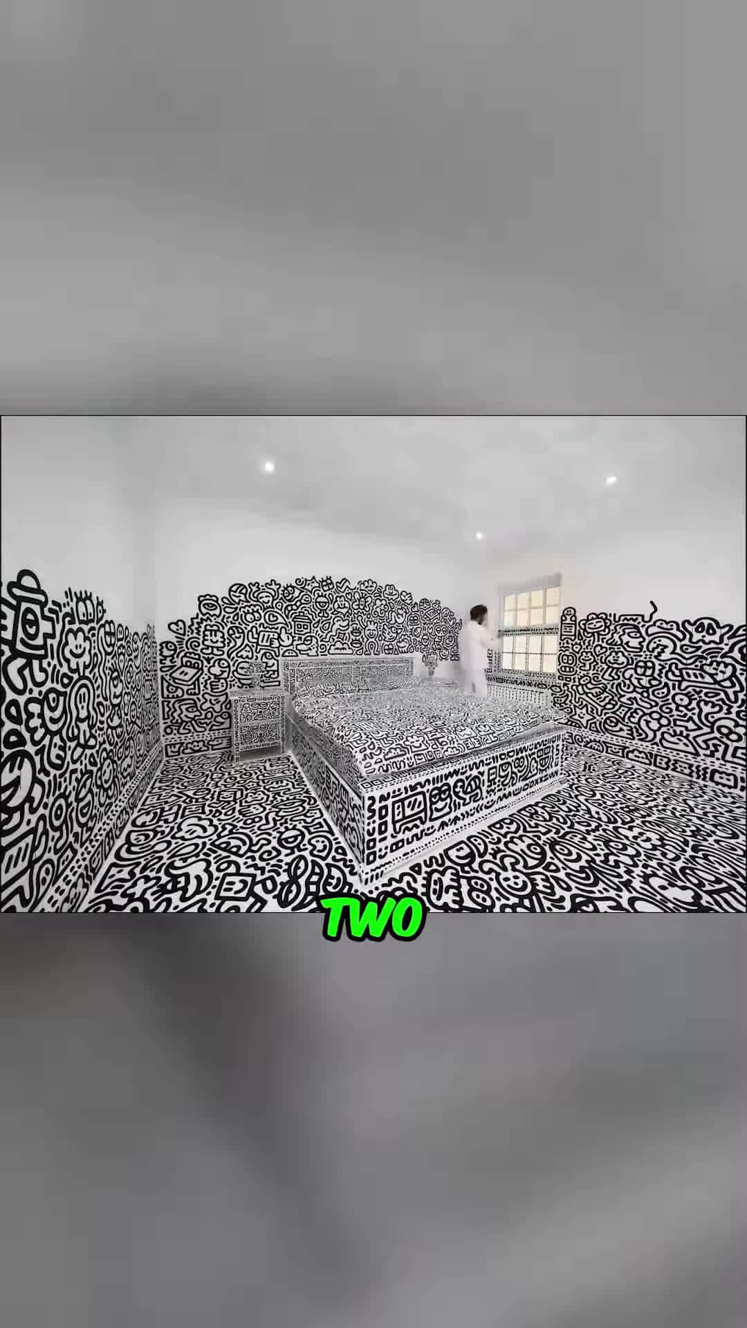 Cover for This Artist Spent 2 Years Doodling His House MrDoodle art viral shorts