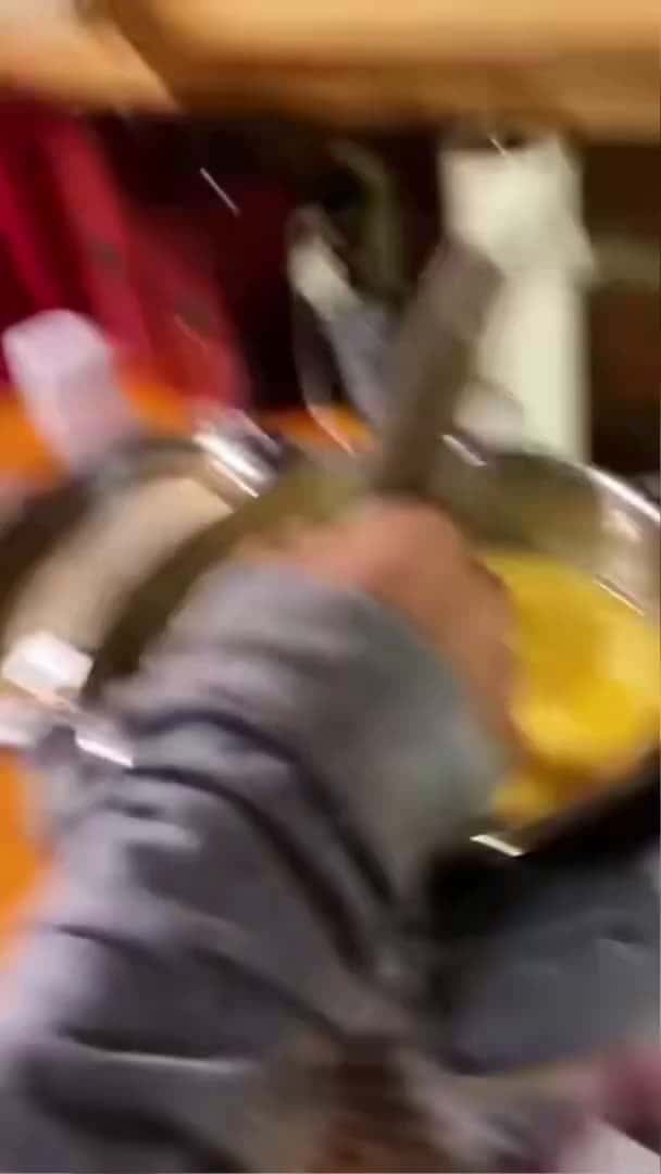 Cover for Funny opossum #funnyshorts #pets #funny #fyp #animals #cute #funnyvideo #foryou