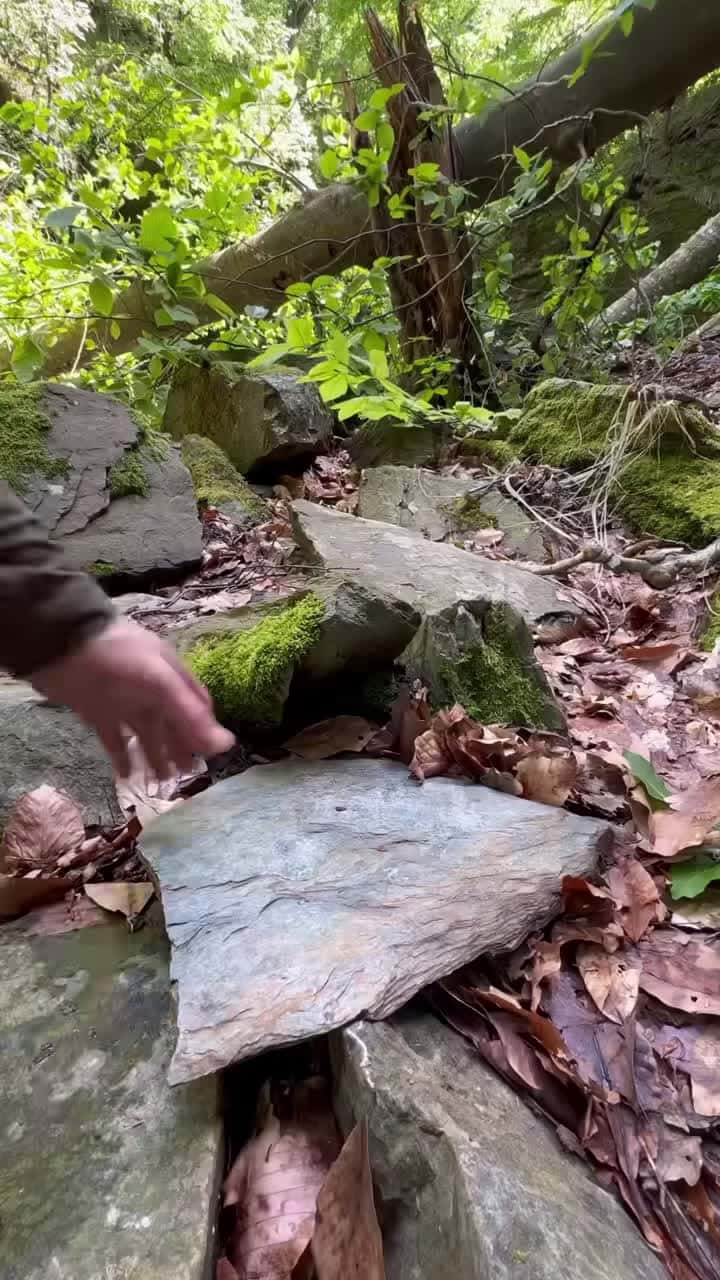 Cover for Cheese sausage on tile 💚🌴🌳🌲  #cookingasmr #outdoorcooking #leon 