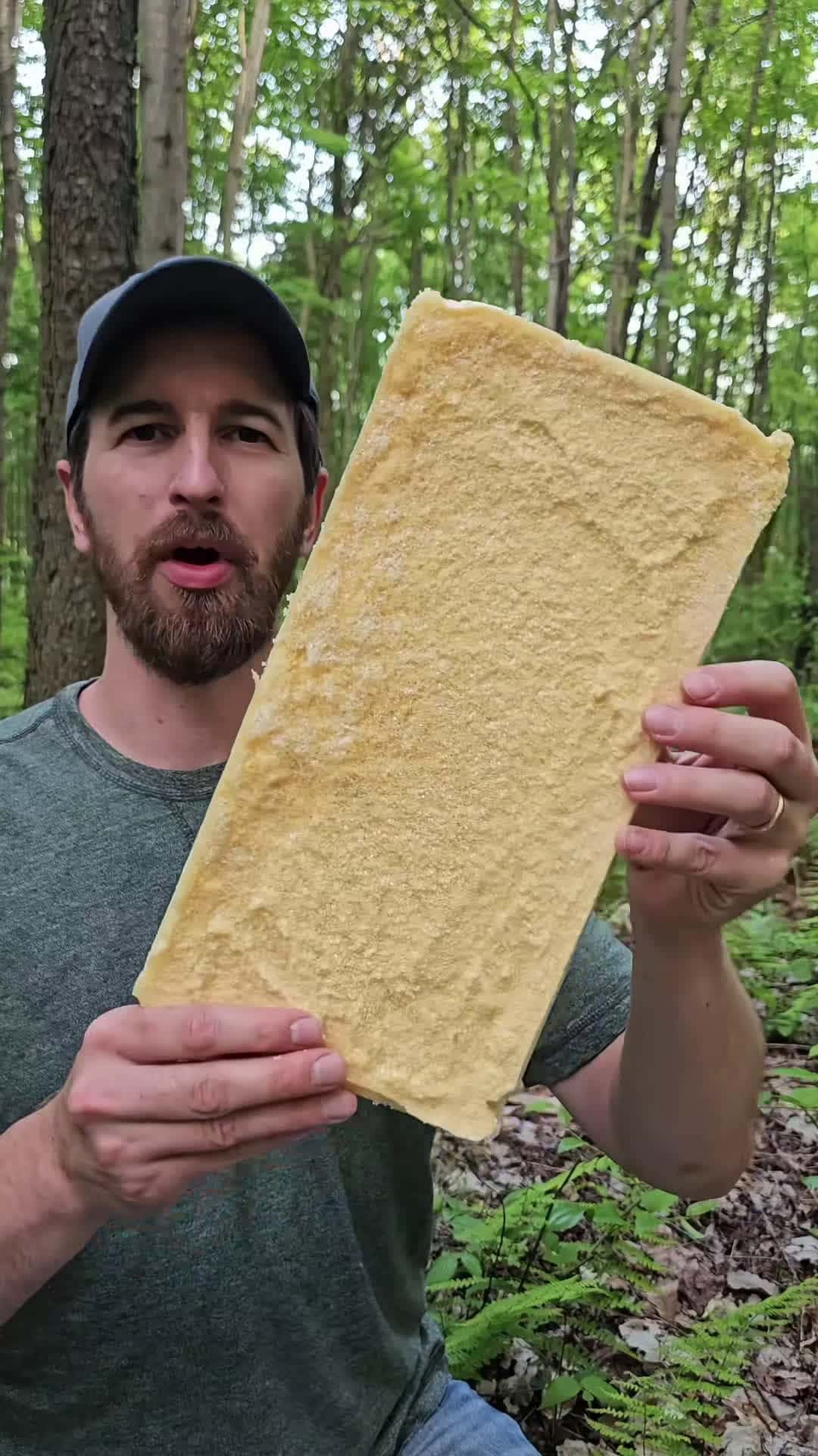 Cover for #FirstVideoChallenge Preserving applesauce by freeze drying