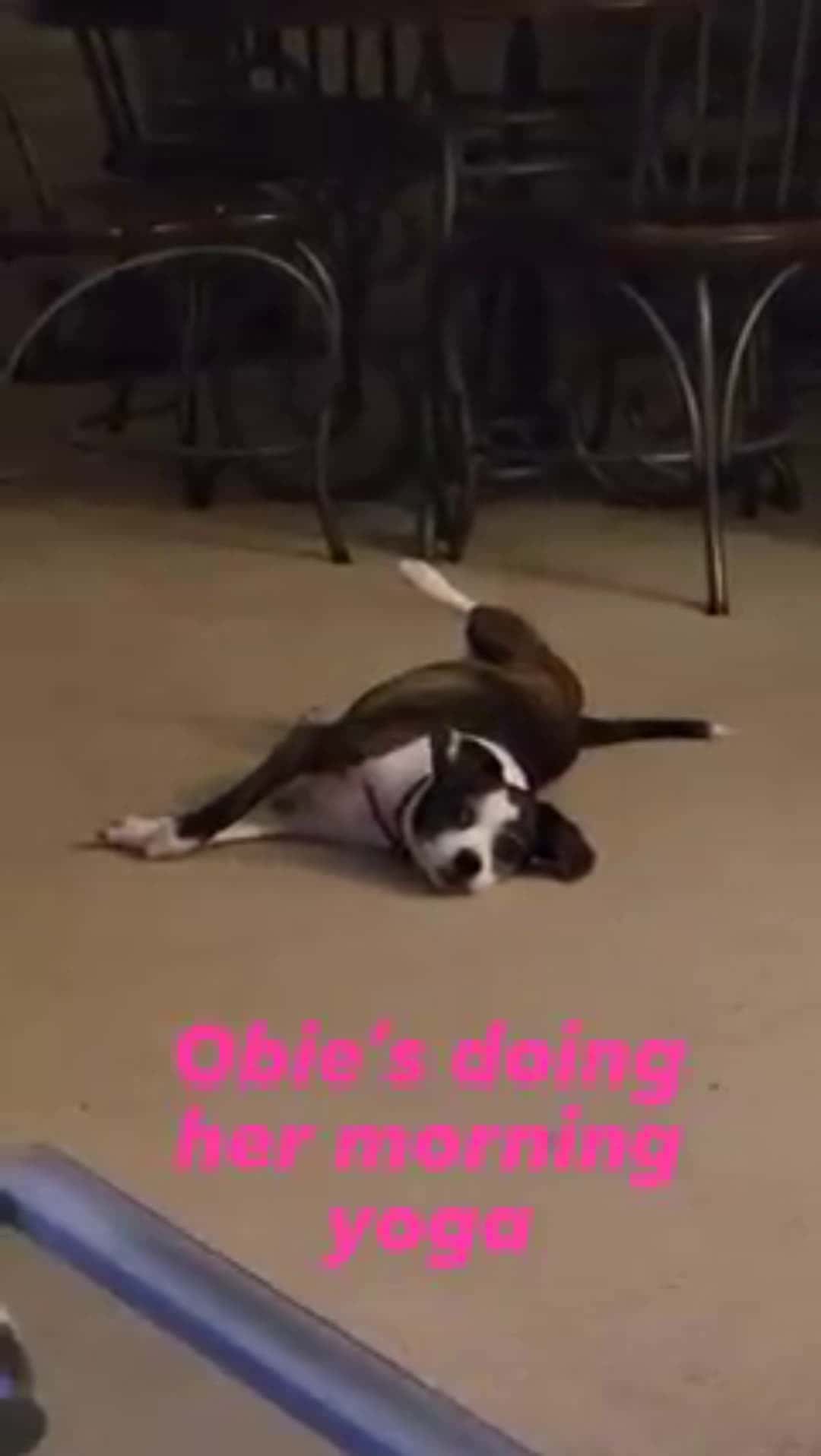 Cover for Morning Uoga 