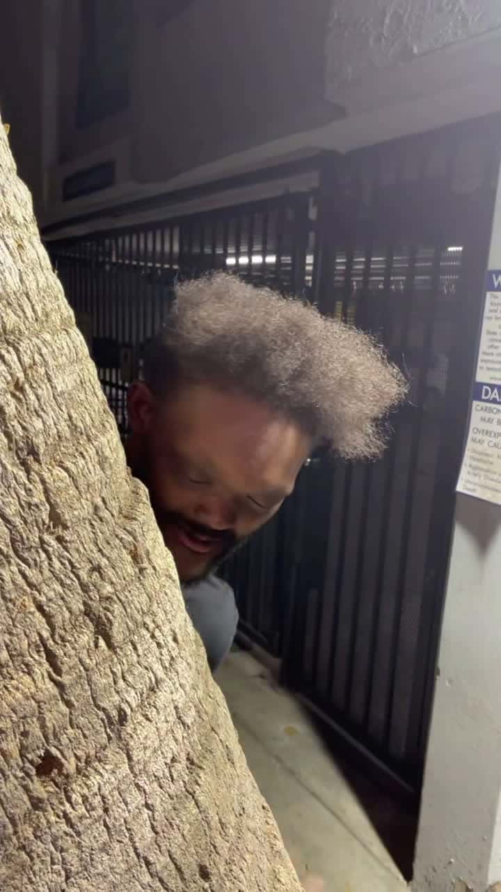 Cover for Tree licker @chefboybonez #treelicker #t