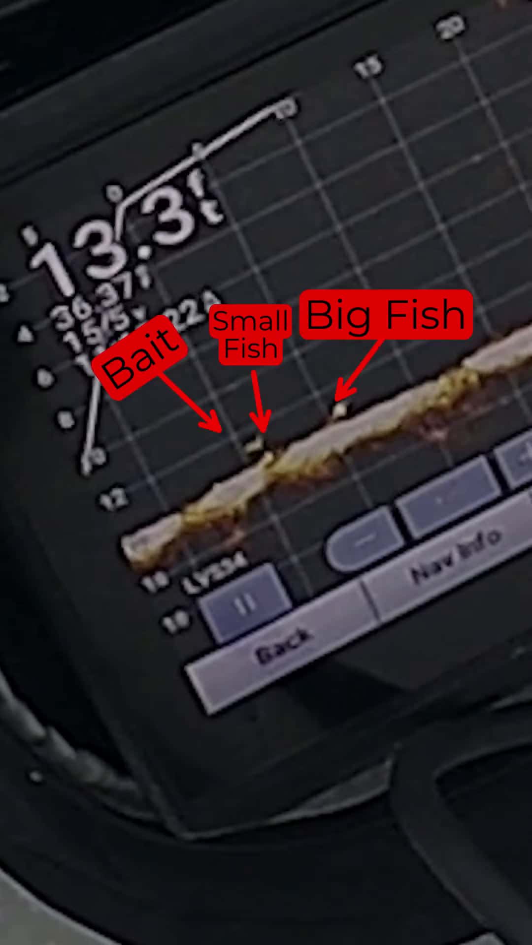 Cover for Big Fish Vs Small Fish bassfishing outdoors fyp fishing fish bass boat icefishing