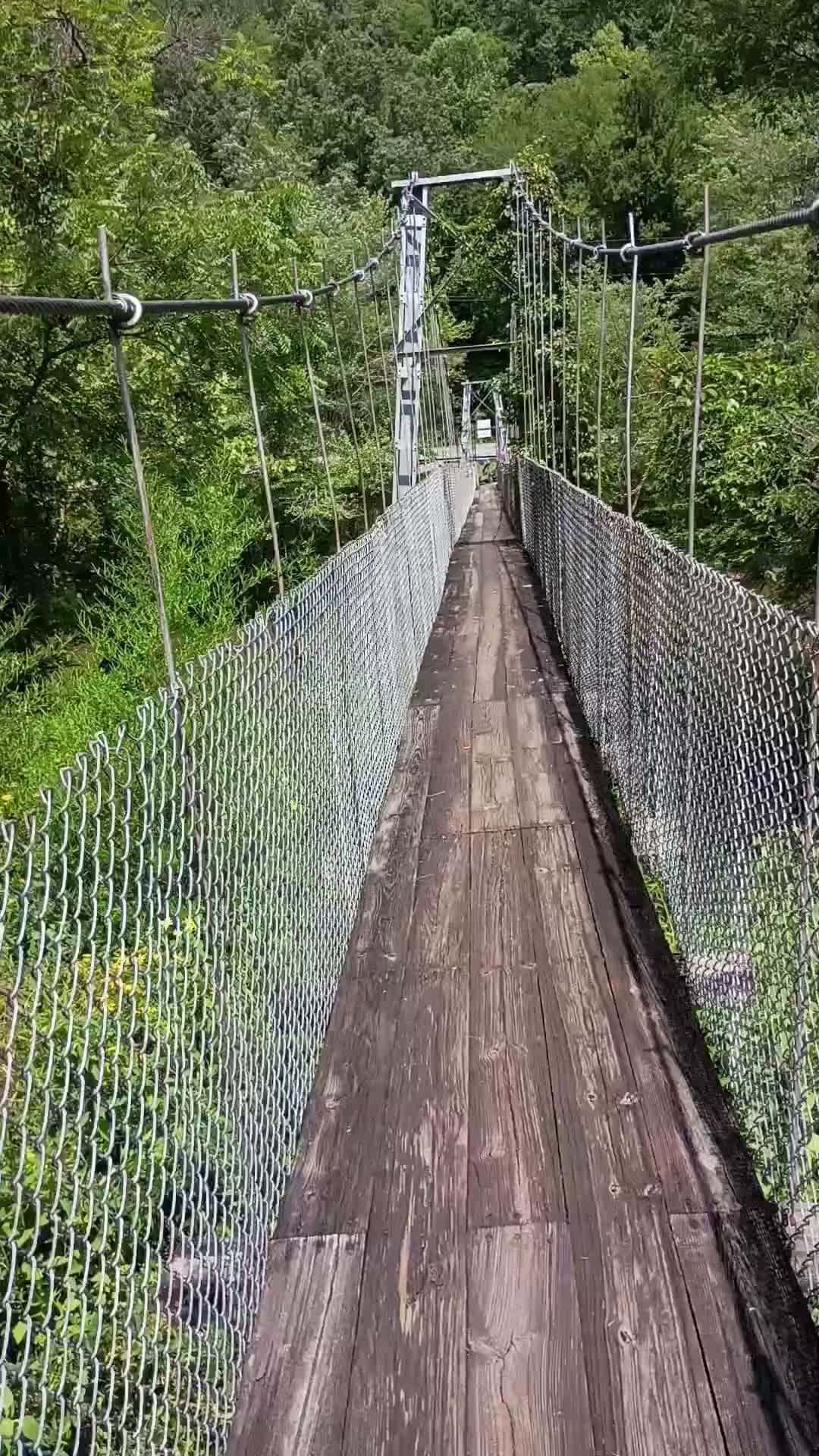 Cover for swing bridge