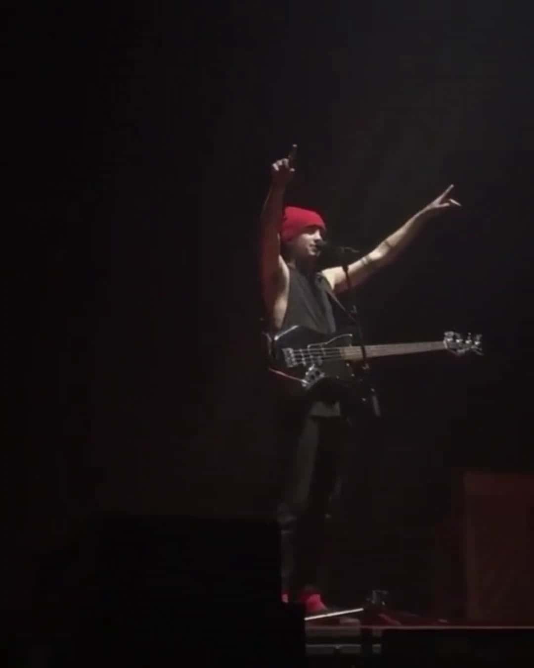 Cover for twenty one pilots concert  #twentyonepilots  #blurryface  #concert #music  #live 