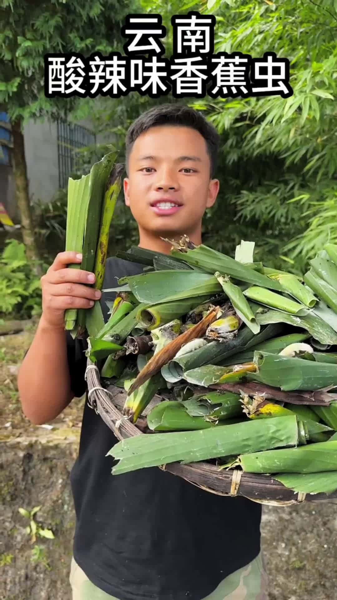 Cover for Greenery 