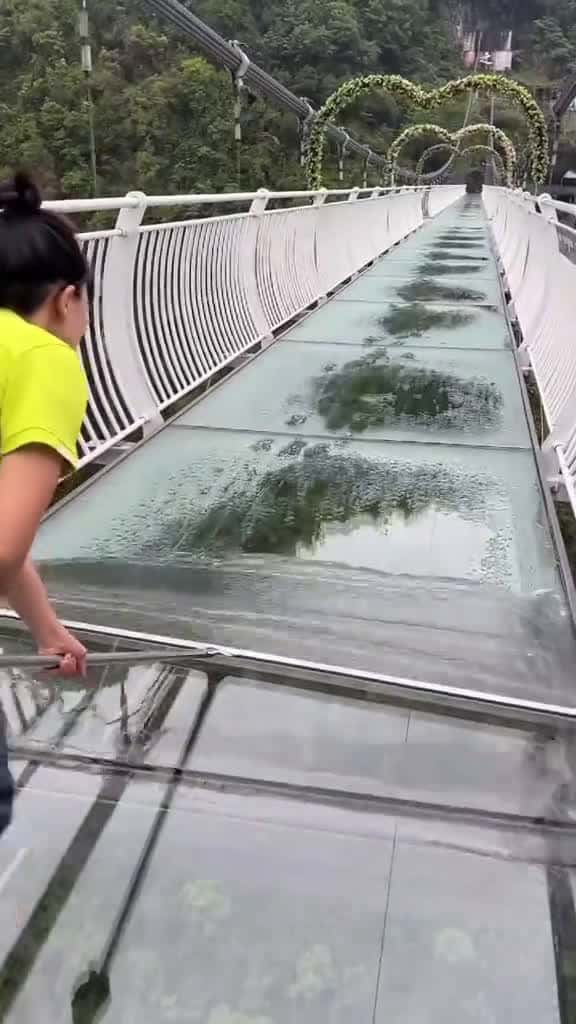 Cover for viralvideo grow trending forupage 09486 #trending