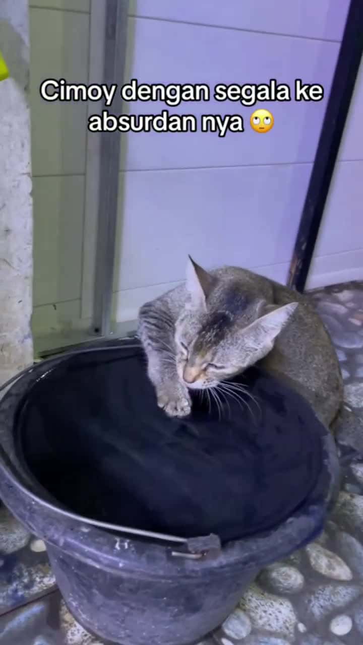 Cover for Di tangannya ada filter untuk meningkatkan kualitas air Cr TT @mutia nrftri