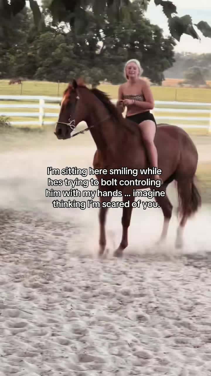 Cover for #fyp #foryou #forupage #equestrian #western #barrelracer #barrelhorse 
