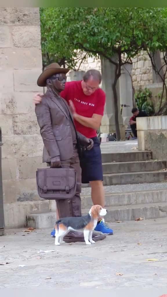 Cover for Bushman prank fpy fpy funny prank cowboy funnyprank bushmanpranks fun tiktok foryo tiktok 91710 #shortvideos