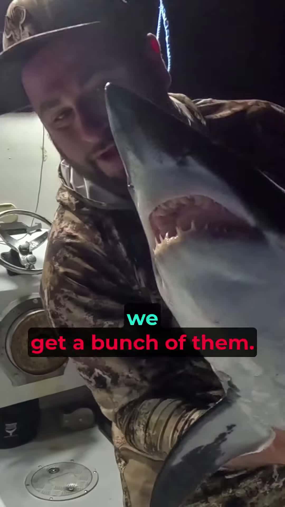 Cover for Can YOU guess the NAME of this SHARK yolotek reeleasy shark saltlife bassfishing fyp fish
