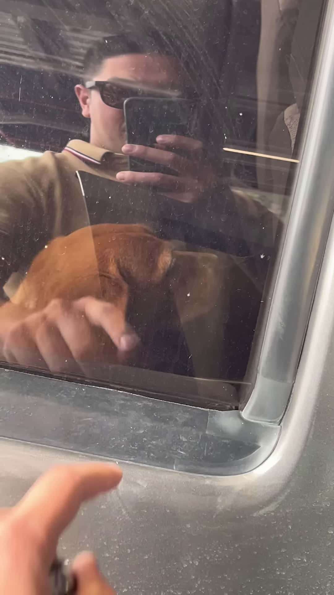 Cover for #FirstVideoChallenge Teased Dog in Car Loses Patience and Starts Barking.