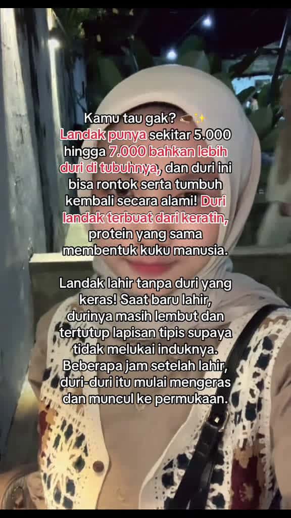 Cover for Ketika merasa terancam landak dapat melindungi diri dengan menegakkan durinya unt 28645 #american