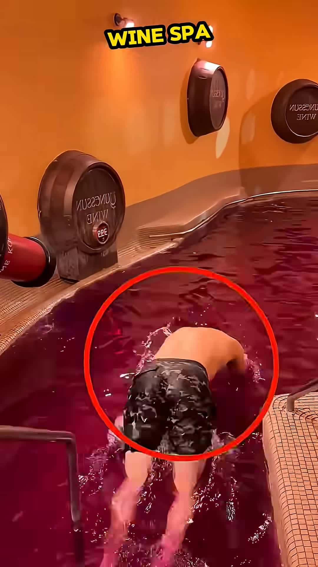 Cover for Would You Try a Wine Bath
