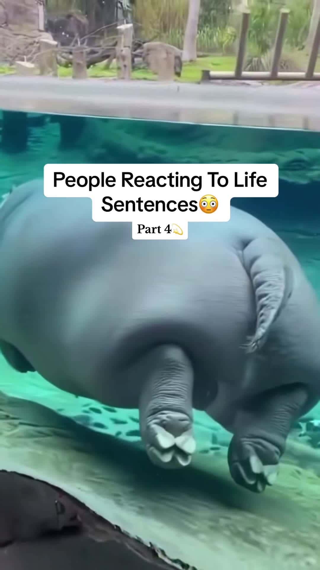 Cover for #UnpopularOpinion People Reacting To Life Sentences😳🔍