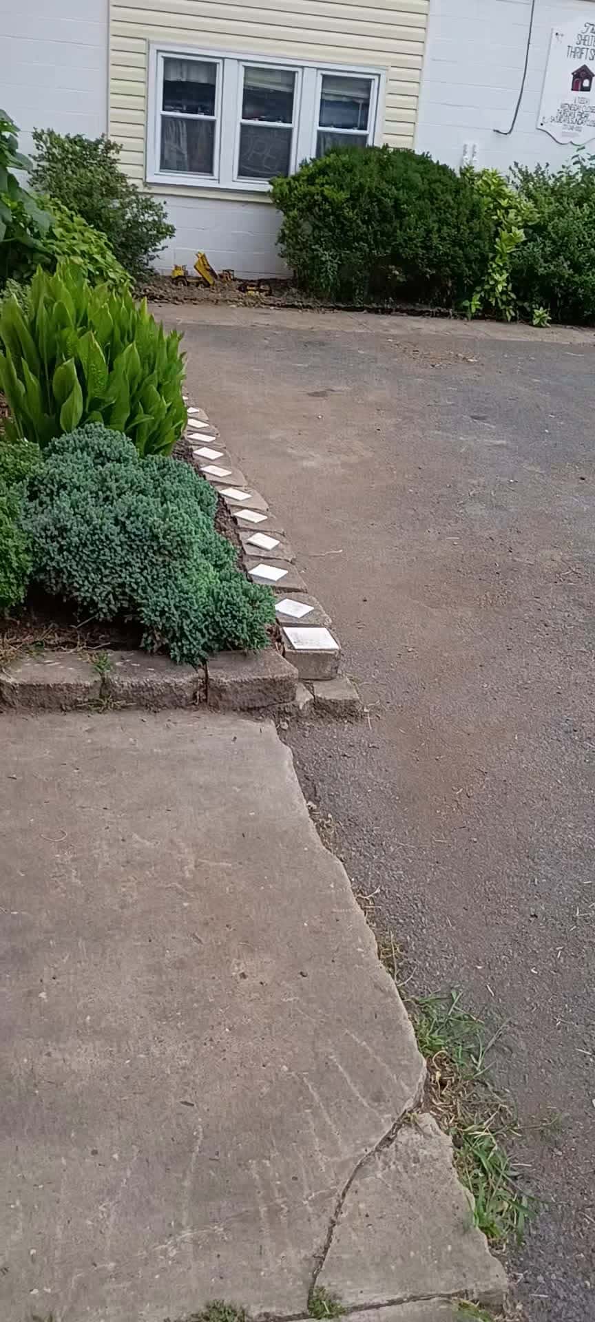 Cover for new garden 