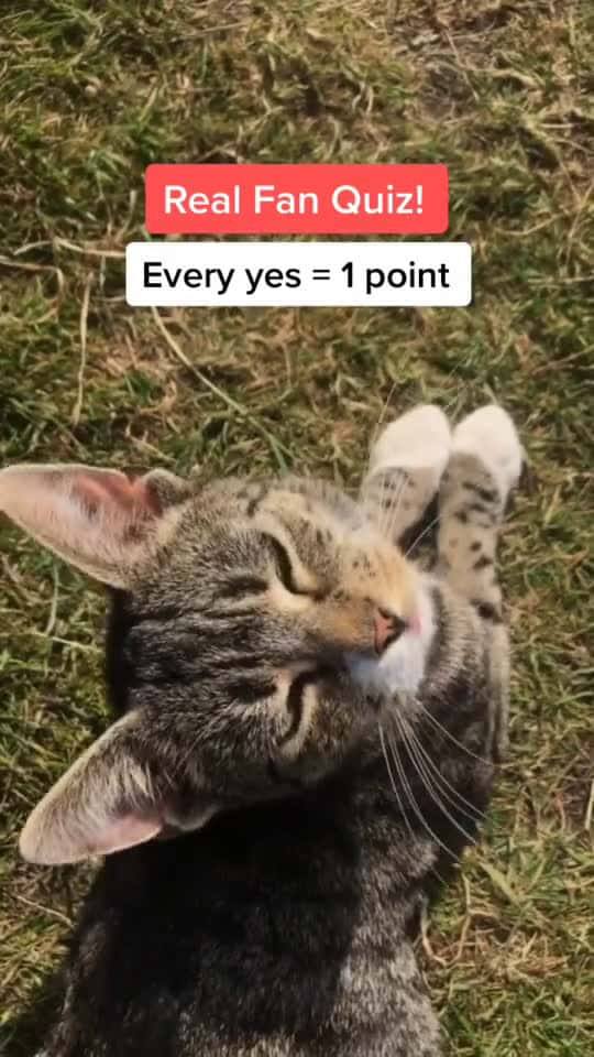 Cover for How many points did you get  viral fyp 89317 #america