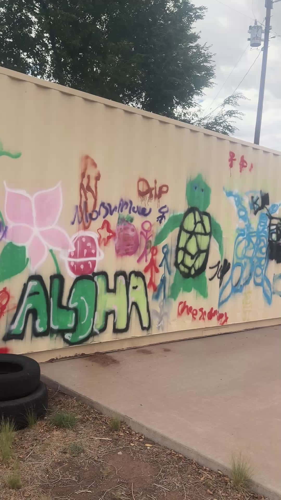 Cover for Something’s off about this place. Symbols layered, stories erased. Who painted over what — and why?”Zoom in. Feel the energy. You’re not supposed to notice this.#ScoopzReport #EncodedGraffiti #SignalLayers #DecodeTheGrid #ScoopzNetwork #FrequencyCage #HiddenInPlainSight #DecodeTheGrid  #SymbolWatch #EnergeticArchitecture #SignalTrap #UrbanMystery  #RFContainment #SignalHunter #TruthInLayers