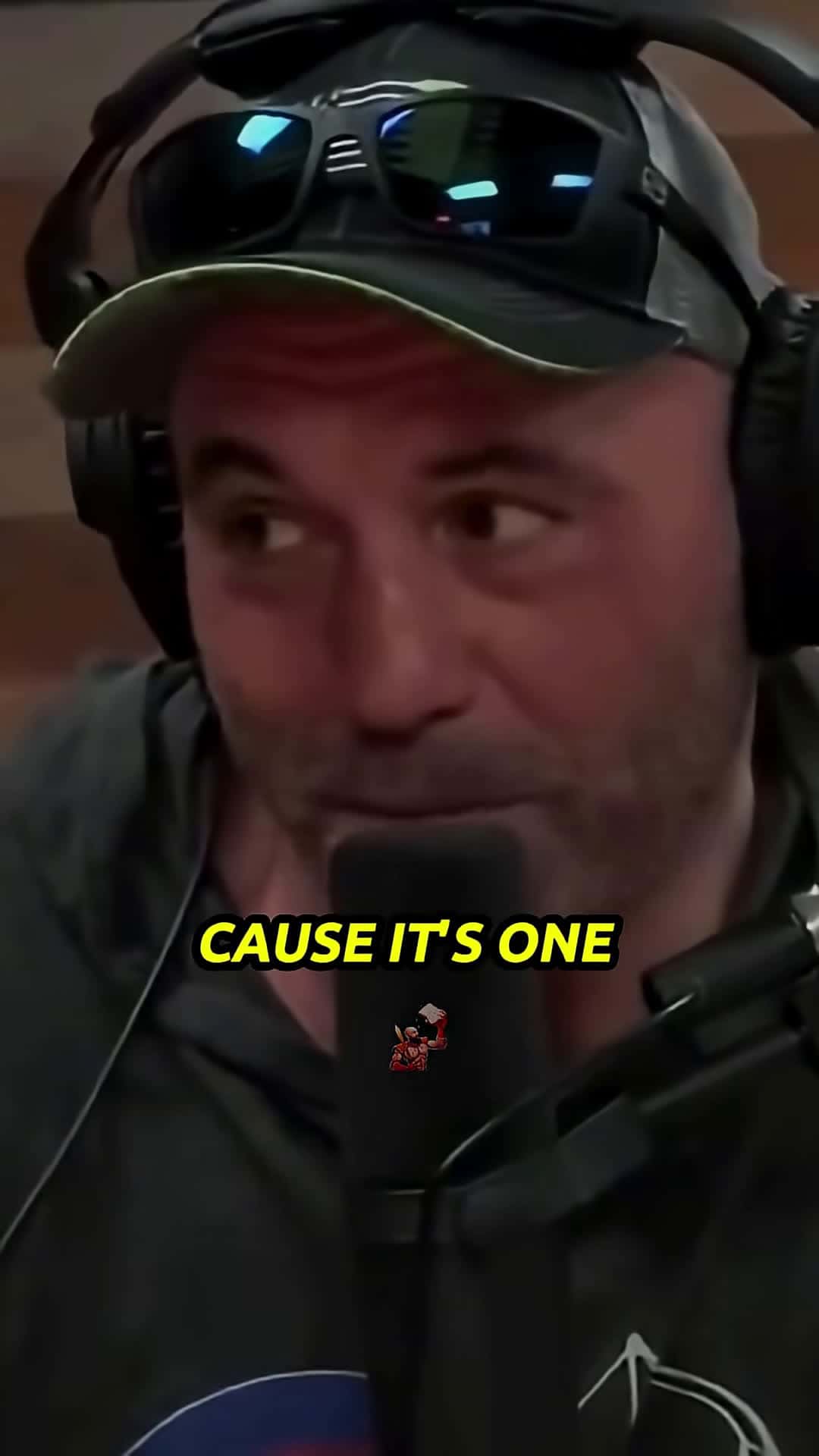 Cover for Joe Rogan Reacts to Woke Liberals Getting DESTROYED By Her Hypocrisy