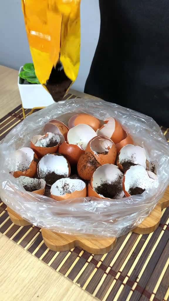 Cover for Just put ground coffee in the eggshell I never threw away eggshells again 28522 #trend