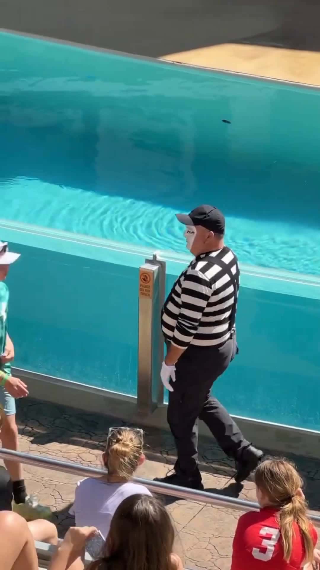 Cover for ‎Call me 😱😂‎#seaworldmime #funny #tomthemime  #seaworldorlando #seaworld #comedy #funnyvideos #fun #mime 
