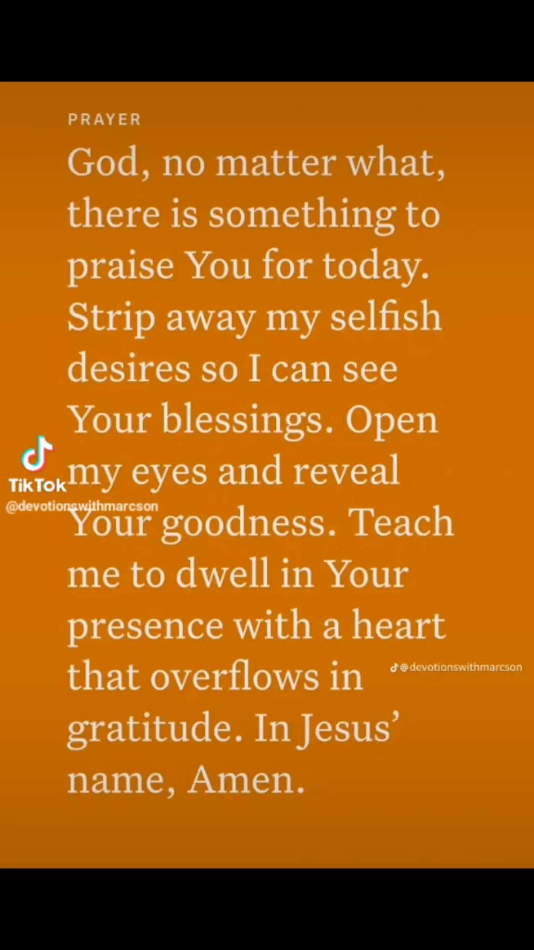 Cover for Amen,amen 