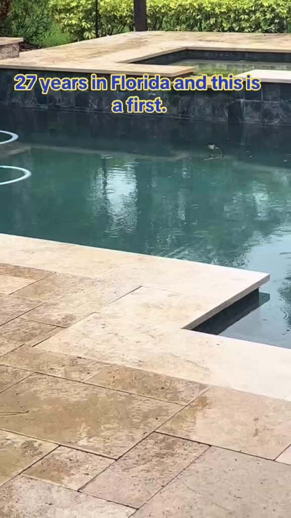 Cover for Found an alligator chilling in our pool! I freaked out but my husband thinks it’s cute 🐊😂 #FloridaProblems #AlligatorInPool