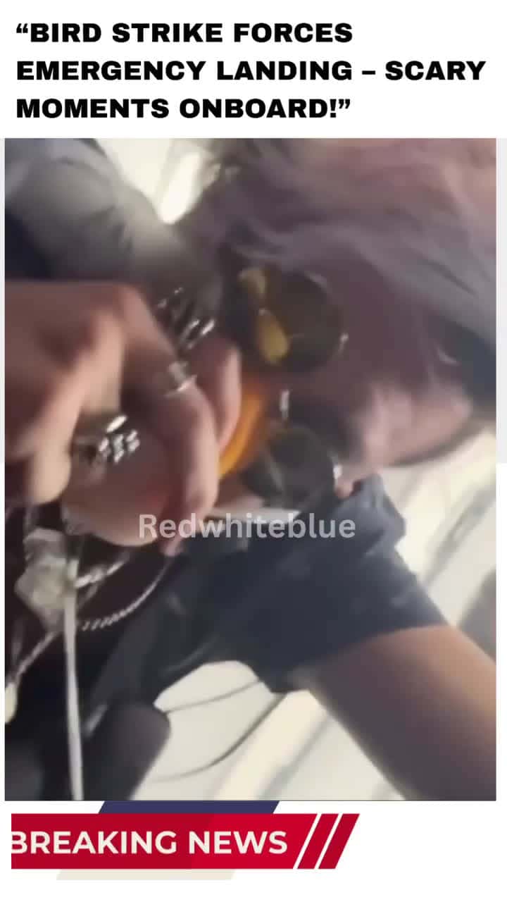 Cover for “Emergency Landing After Bird Strike Caught on Video!” #BreakingNews #AviationNews #BirdStrike #EmergencyLanding #FlightSafety #PassengerVideo #OxygenMask #AirlineIncident #NewsTok #CalmNews  #SafeTravel #FlightUpdate