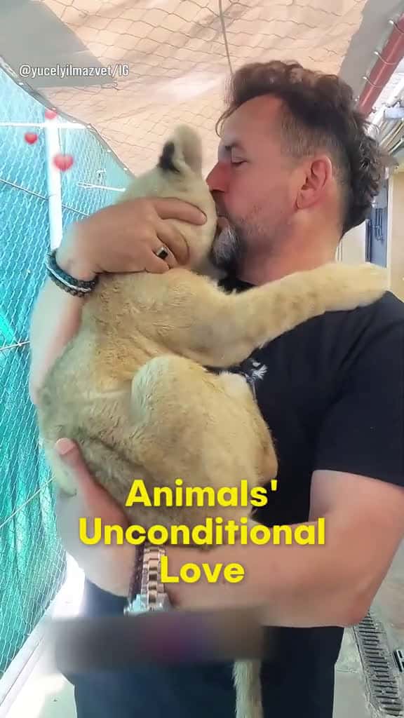 Cover for Animals are too pure ❤️ #animals #animalsoftiktok #animalslover #love #loveanimals #viral  #scoopz 