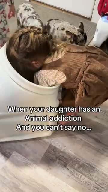 Cover for How do you tell her no 🤔😭