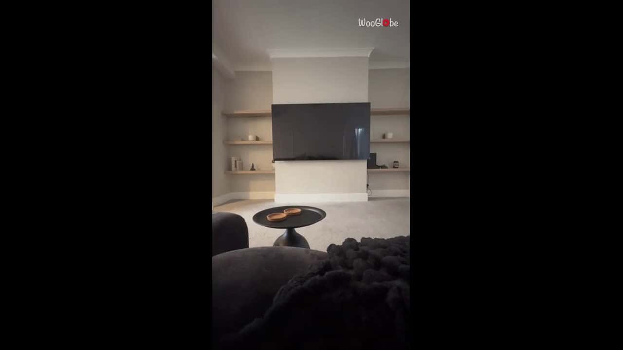 Cover for Dog loses all chill and smashes table while jumping for bubbles