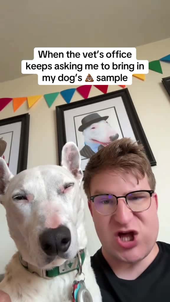 Cover for and you have to bring it in a used butter container or some 😭 #vettech #vethumor #vetmed #comedy #dogs  created by MisterMainer with +•Liv•+’s original sound