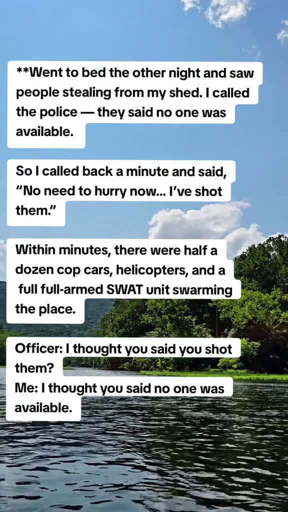 Cover for “Called the cops on thieves — got told ‘no one available.’ A minute later I called back: ‘no need to hurry… I shot them.’ Suddenly: helicopters, SWAT, half a dozen cops. Officer: ‘I thought you said you shot them?’ Me: ‘I thoug...