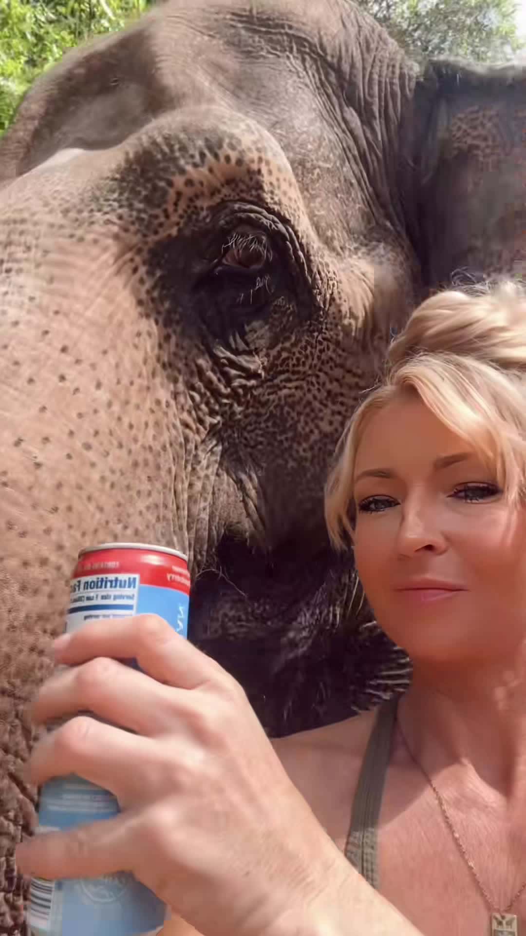 Cover for 12549#elephant #animal #MyBestFriendIsAnElephant #animallover #TikTok #Sav...